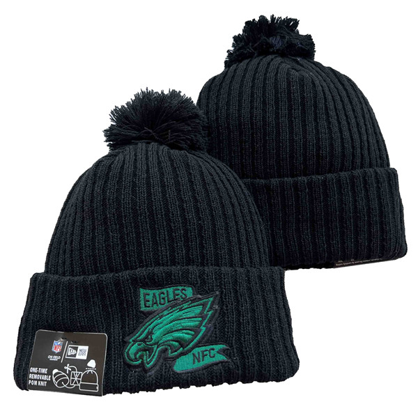 Philadelphia Eagles Knit Hats 078